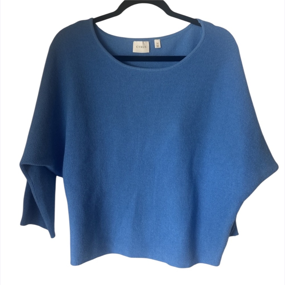 Cyrus Blue Cowl Neck Sweater
